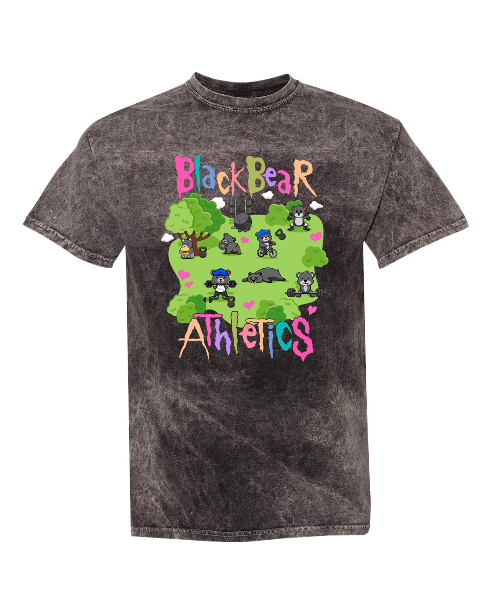 Black Bear Athletics Sleuth Scene Band Tee Mineral Wash T-Shirt 200MW